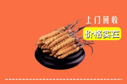 海东乐都区回收冬虫夏草